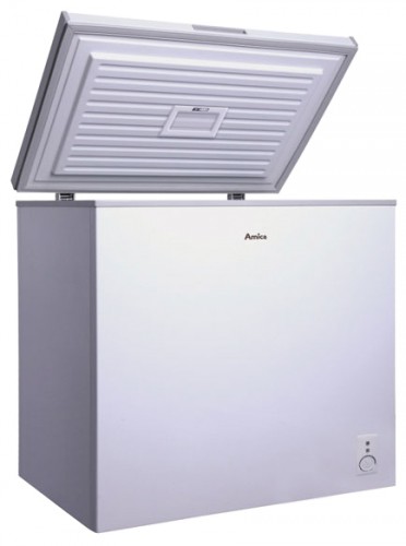 Buzdolabı Amica FS 200.3 fotoğraf, özellikleri