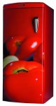 Холодильник Ardo MPO 22 SHTO 54.00x124.00x62.00 см