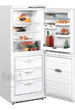 Buzdolabı ATLANT МХМ 161 fotoğraf, özellikleri