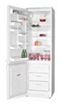 Refrigerator ATLANT МХМ 1806-06 60.00x176.00x63.00 cm