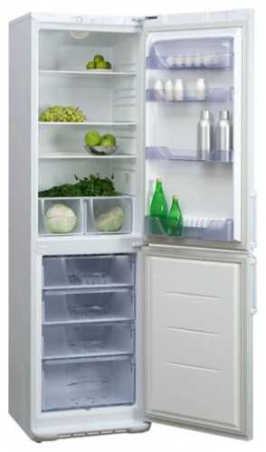 Buzdolabı Бирюса 149 fotoğraf, özellikleri