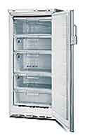 Refrigerator Bosch GSE22420 larawan, katangian