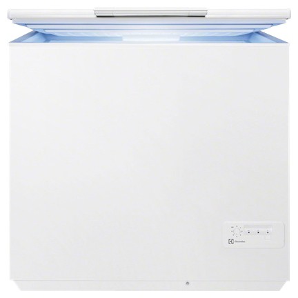 Refrigerator Electrolux EC 2800 AOW larawan, katangian