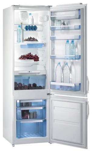 Buzdolabı Gorenje RK 45298 W fotoğraf, özellikleri