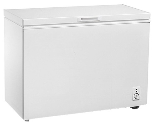 Buzdolabı Hansa FS300.3 fotoğraf, özellikleri