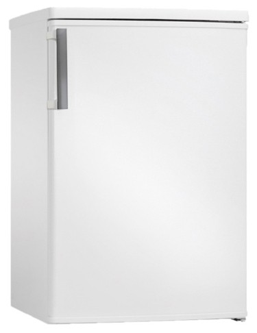 Refrigerator Hansa FZ138.3 larawan, katangian