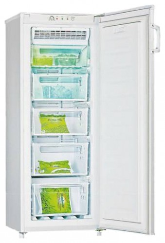 Refrigerator Hisense RS-20WC4SAW larawan, katangian
