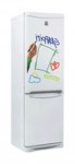 Холодильник Indesit B 18 GF 60.00x185.00x66.50 см