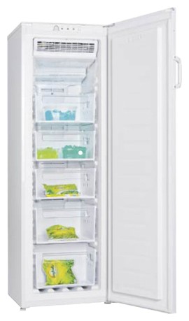 Buzdolabı LGEN TM-169 FNFW fotoğraf, özellikleri