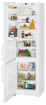 Холодильник Liebherr CBP 4013 60.00x201.10x63.00 см