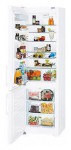 Refrigerator Liebherr CN 4056 60.00x201.10x63.00 cm