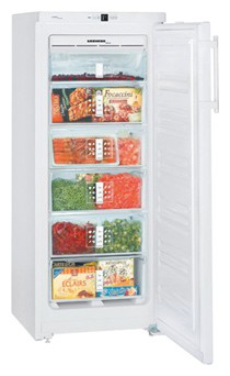 Холодильник Liebherr GN 2313 фото, Характеристики