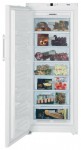 Холодильник Liebherr GN 3613 69.70x175.10x75.00 см