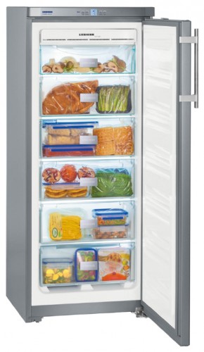Refrigerator Liebherr GNsl 2323 larawan, katangian