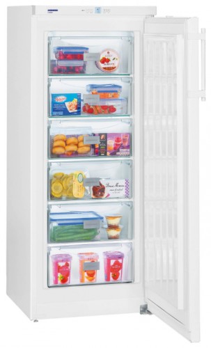 Refrigerator Liebherr GP 2433 larawan, katangian