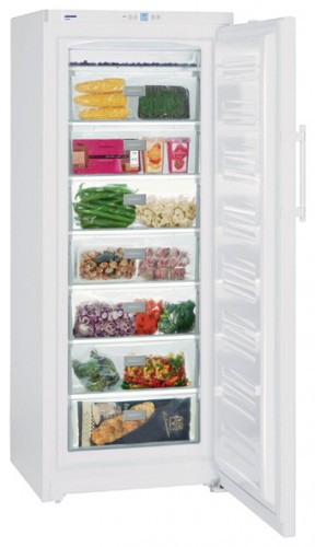 Refrigerator Liebherr GP 3513 larawan, katangian