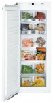 Refrigerator Liebherr IG 1956 56.00x141.30x55.00 cm