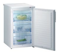 Køleskab Mora MF 3101 W Foto, Egenskaber