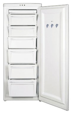 Refrigerator Rainford RFR-1262 WH larawan, katangian
