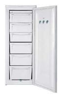 Refrigerator Rainford RFR-1264 WH larawan, katangian