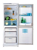 Ψυγείο Stinol RFNF 305 φωτογραφία, χαρακτηριστικά