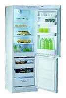 Refrigerator Whirlpool ARZ 519 larawan, katangian