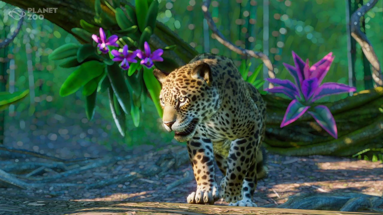 Planet Zoo - South America Pack DLC Steam Altergift, 12.5$