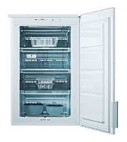 Refrigerator AEG AG 88850 4E larawan, katangian