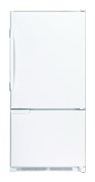 Refrigerator Amana AB 2026 PEK W larawan, katangian