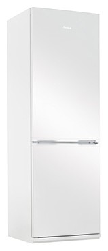 Refrigerator Amica FK328.4 larawan, katangian