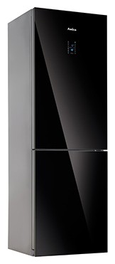 Refrigerator Amica FK338.6GBDZAA larawan, katangian