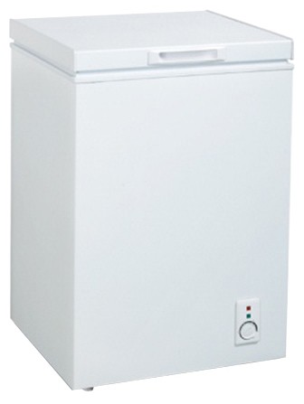 Refrigerator Amica FS100.3 larawan, katangian