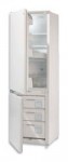 Kühlschrank Ardo ICO 130 54.00x177.30x54.80 cm