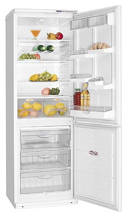 Kühlschrank ATLANT ХМ 5010-001 Foto, Charakteristik