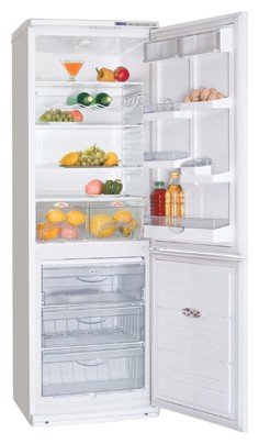 Kjøleskap ATLANT ХМ 5091-016 Bilde, kjennetegn