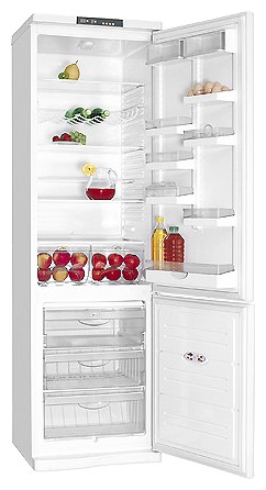 Kühlschrank ATLANT ХМ 6001-001 Foto, Charakteristik