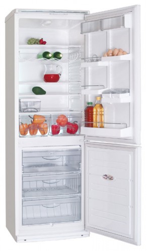 Refrigerator ATLANT ХМ 6019-013 larawan, katangian