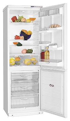 Buzdolabı ATLANT ХМ 6019-037 fotoğraf, özellikleri