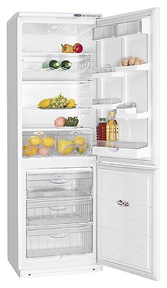 Refrigerator ATLANT ХМ 6021-027 larawan, katangian