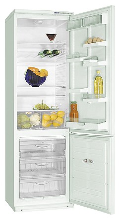 Tủ lạnh ATLANT ХМ 6024-052 ảnh, đặc điểm