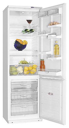 Refrigerator ATLANT ХМ 6024-081 larawan, katangian