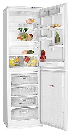 Refrigerator ATLANT ХМ 6025-012 larawan, katangian