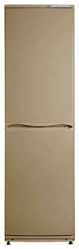 Refrigerator ATLANT ХМ 6025-050 larawan, katangian
