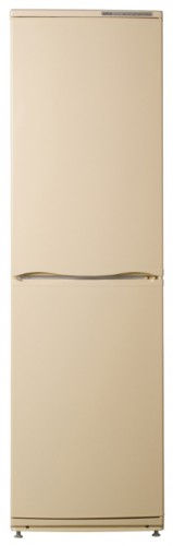Kühlschrank ATLANT ХМ 6025-081 Foto, Charakteristik