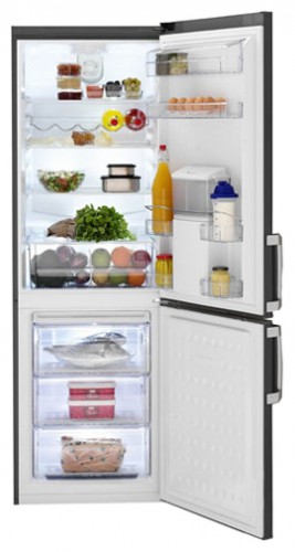Refrigerator BEKO CS 134021 DP larawan, katangian