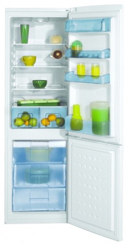 Buzdolabı BEKO CSA 31020 fotoğraf, özellikleri