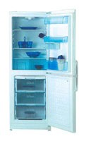 Холодильник BEKO CSE 31000 фото, Характеристики