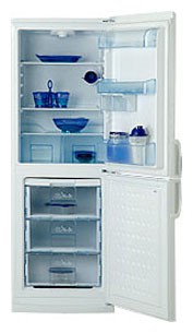 Kühlschrank BEKO CSE 31020 Foto, Charakteristik