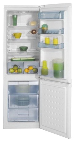 Холодильник BEKO CSK 31050 Фото, характеристики