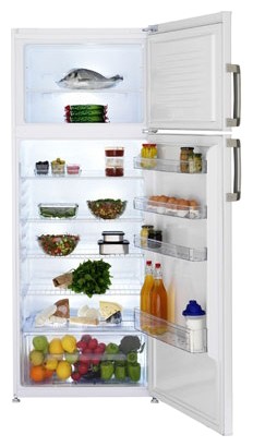 Kjøleskap BEKO DS 145100 Bilde, kjennetegn